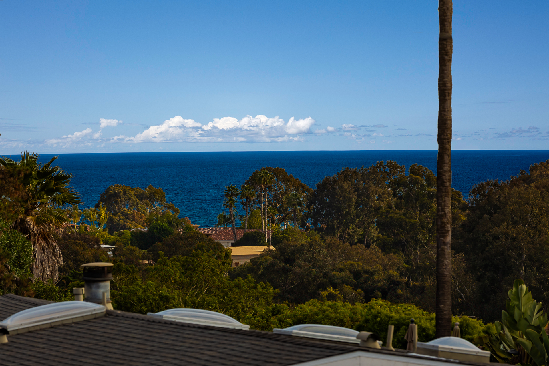 240503_6318CastejonDr-39